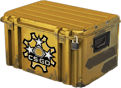 Revolver Case